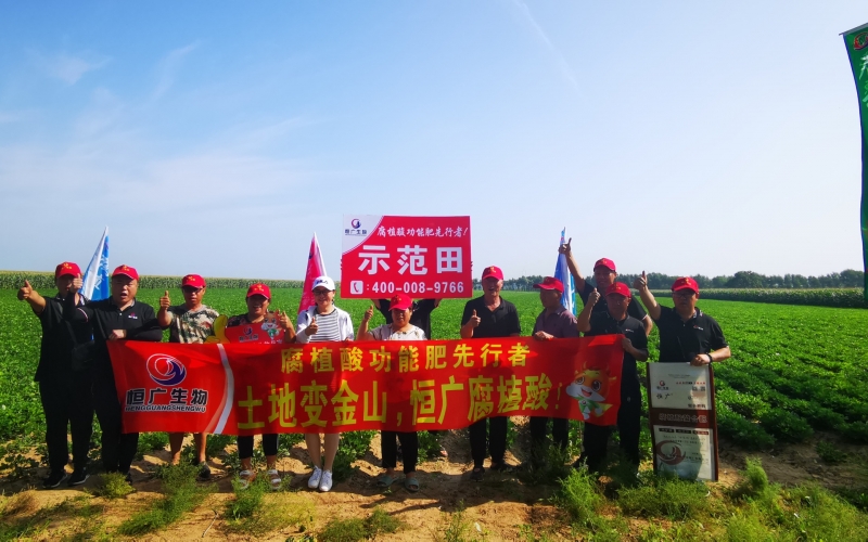 王府鎮白廟子村